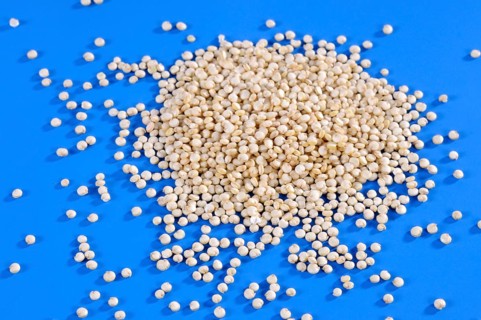 Quinoa