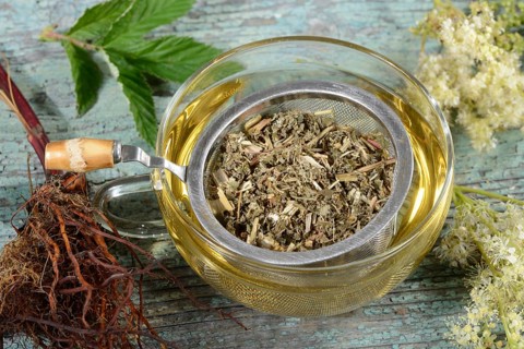 Cup meadowsweet tea