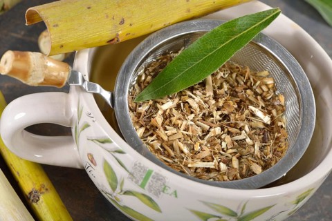 Willow bark tea