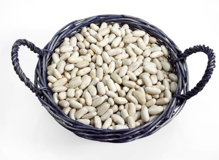 Garden bean