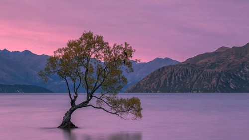 Lake Wanaka