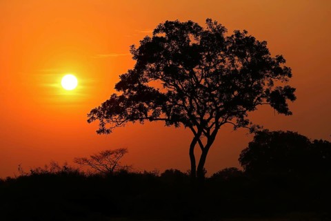 Sunrise