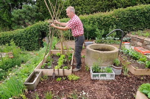 Creation of organic garden