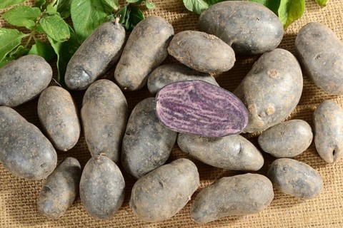 Potatoes