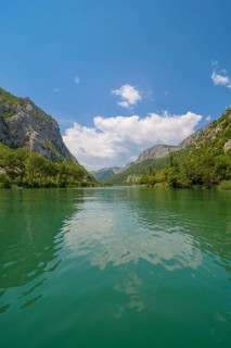 Omis