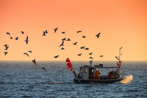Fishing boat