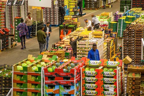 In the fruit department of the world's largest wholesale market Rungis