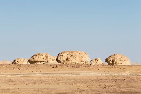 View over the white desert