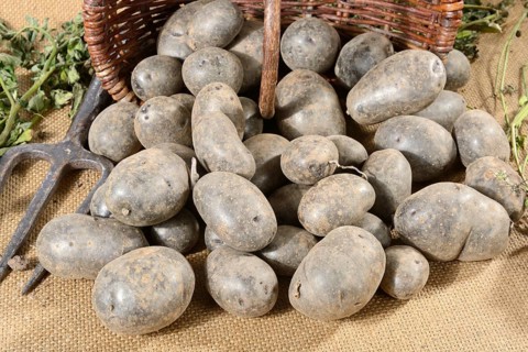 Potatoes