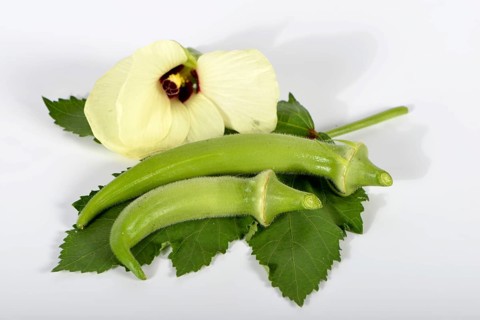 Okra