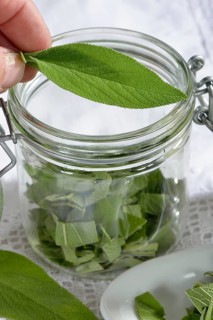 Sage milk