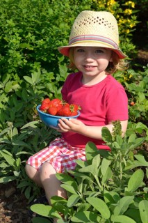 Girl eating strawberries