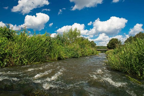 Fish ladder