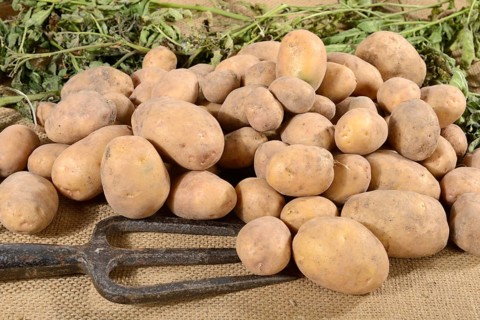 Potatoes