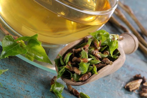 Cup black poplar bud tea