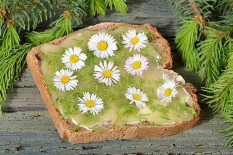 Spelt bread with spruce tips