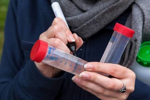Scientists of the Biodiversity Group of the University of Duisburg-Essen labelling water samples at Grietherbusch in the Lower Rhine region