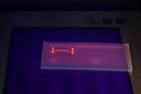 DNA gel electrophoresis for the detection of nucleic acids in the Biology Department at the University of Duisburg-Essen. DNA is made visible by means of UV light