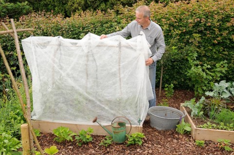 Organic garden