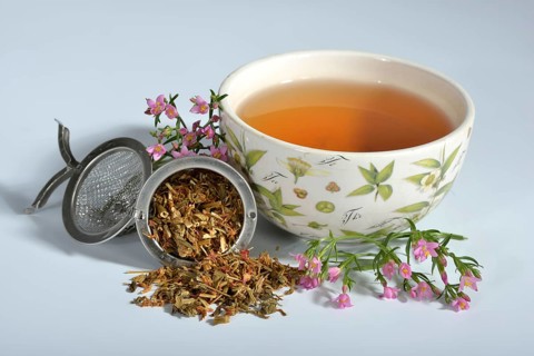 Cup of tea