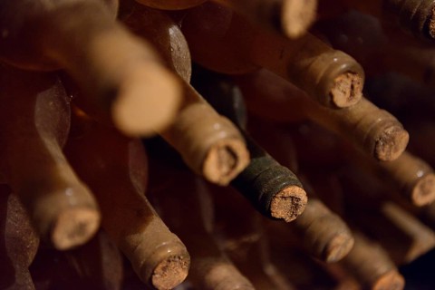 Old wine bottles