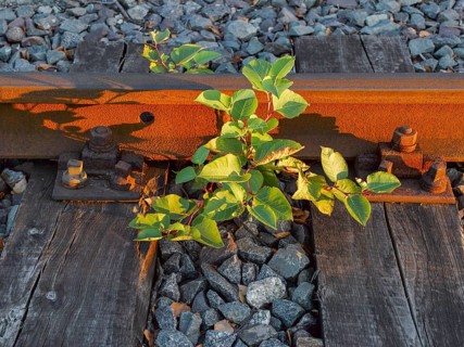 Old railway track