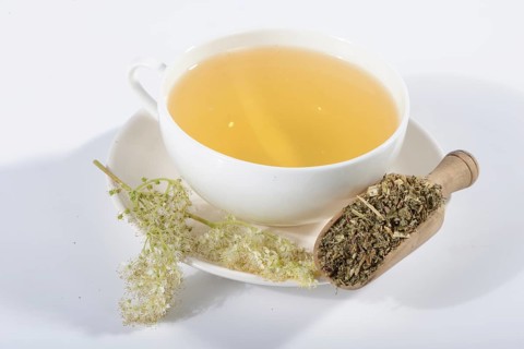 Cup meadowsweet tea