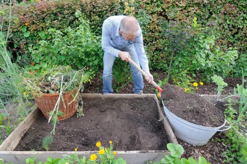 Organic garden