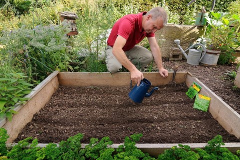 Organic garden