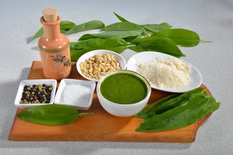 Production wild garlic pesto