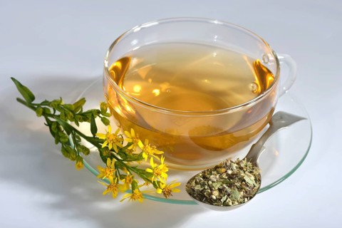 Cup goldenrod tea