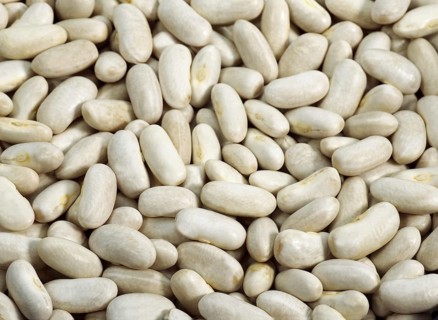 Garden bean
