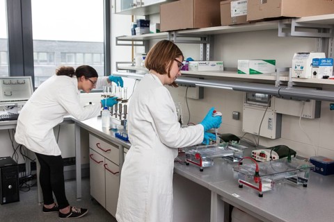 Scientists in the poison room or laboratory with ethidium bromide during a DNA gel electrophoresis for the detection of nucleic acids in the Faculty of Biology at the University of Duisburg-Essen