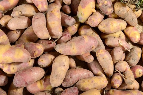 Potatoes