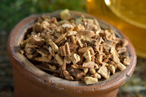 Gentian root