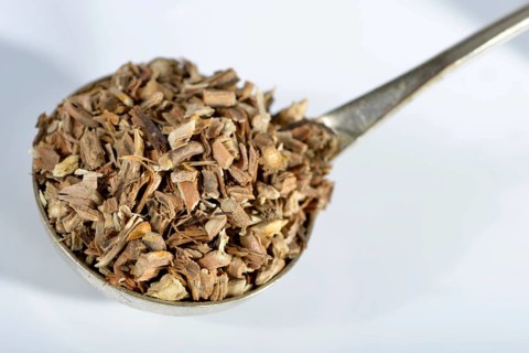 Sarsaparilla roots
