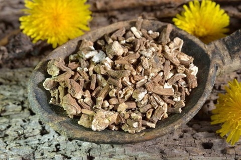 Dandelion root