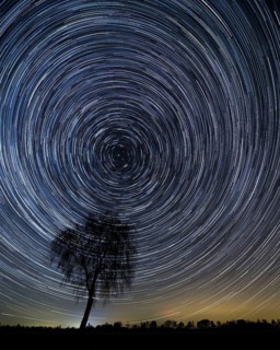 Star wheel