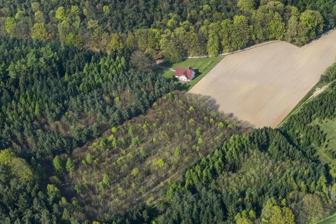 Farm