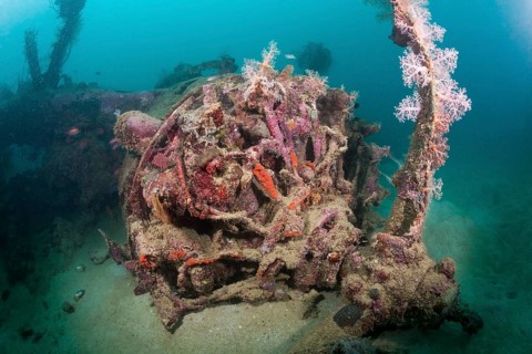 Star engine of the Dauntless Dive Bomber aircraft wreck
