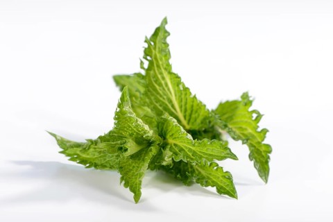 Nane Peppermint