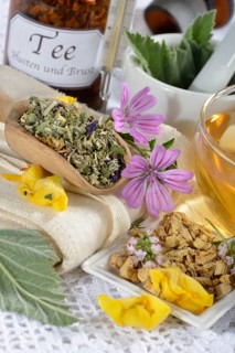 Cough-breast tea