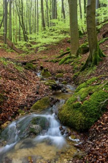 Kieler Bach