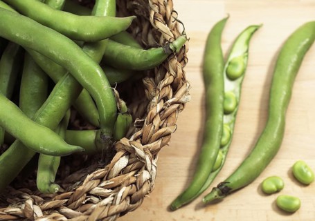 Fava Bean