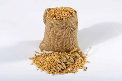 Oats