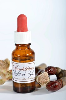 Bach Flower remedy chestnut bud