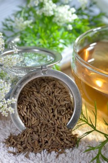 Caraway