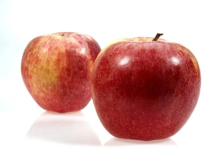Malus domestica