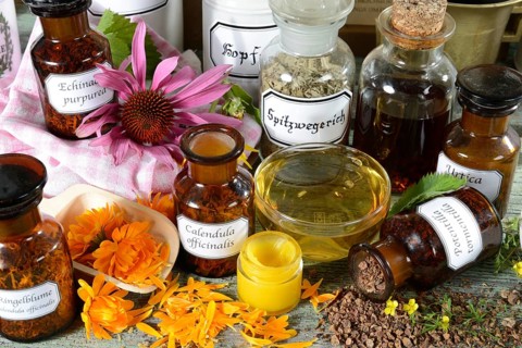 Calendula