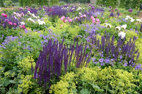 Flowerbed